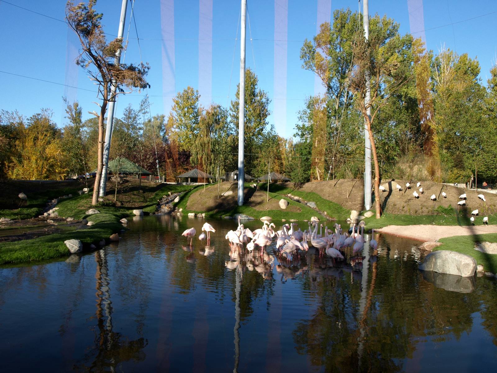 Odense Zoo - Kiwara African Aviary