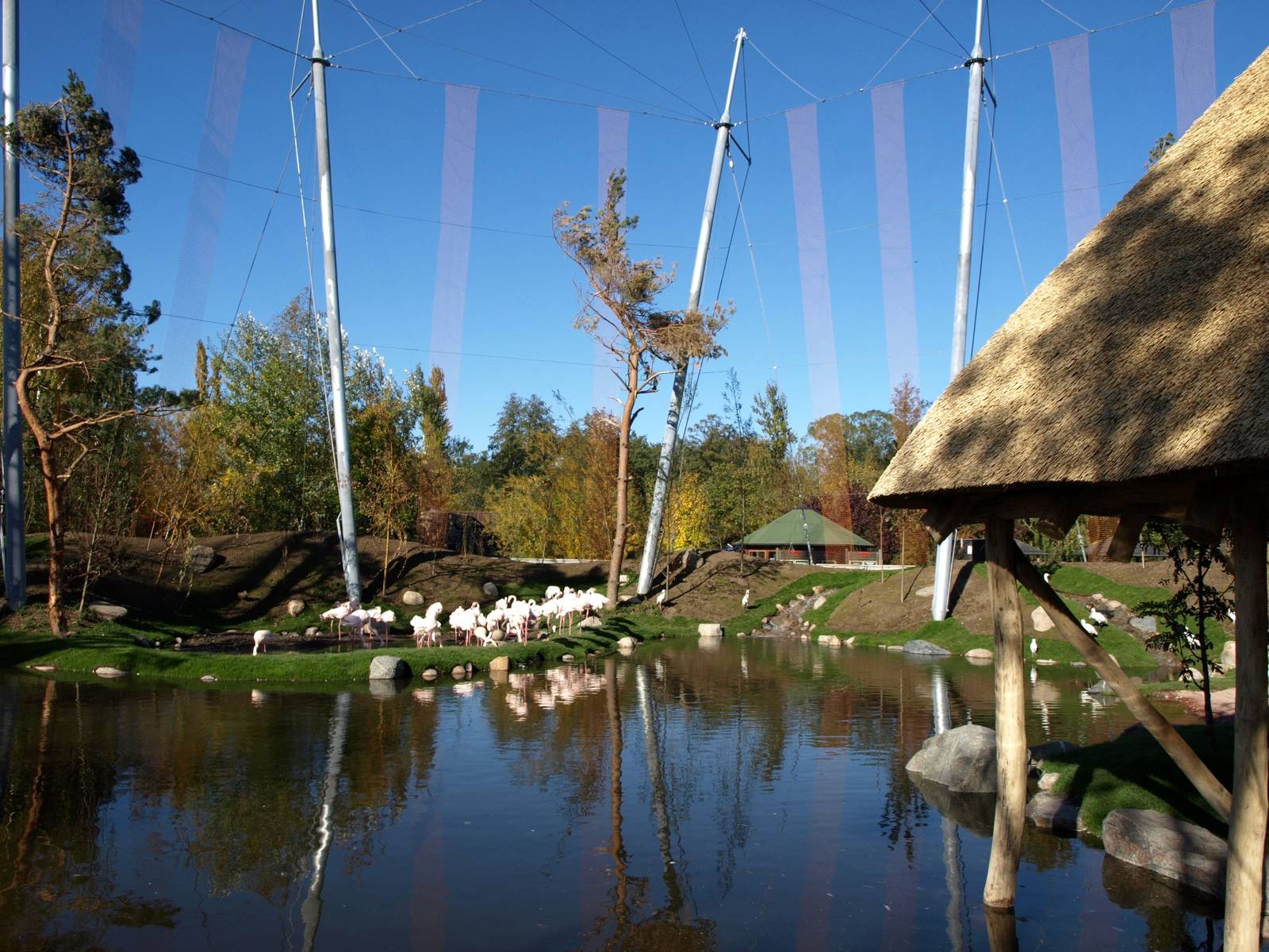 Odense Zoo - Kiwara African Aviary
