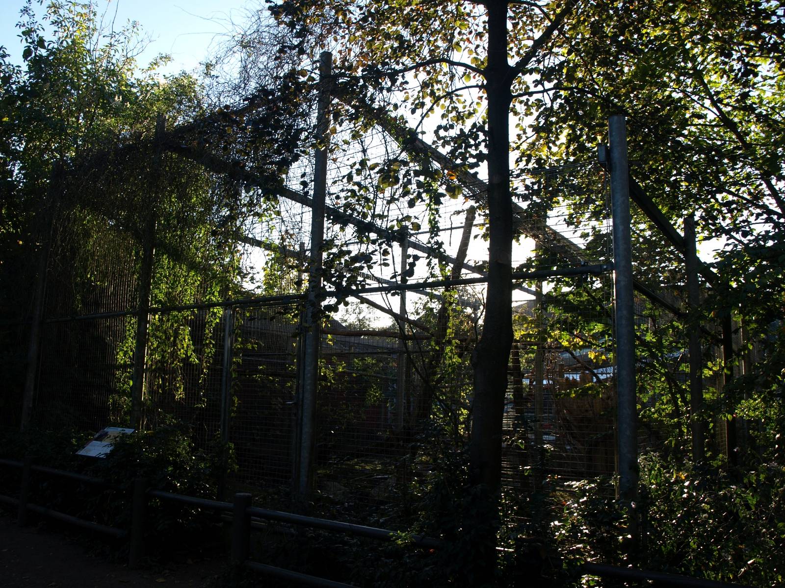 Odense Zoo - Macaw aviary