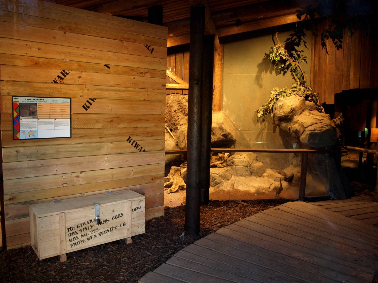 Odense Zoo - Mongoose indoor exhibit