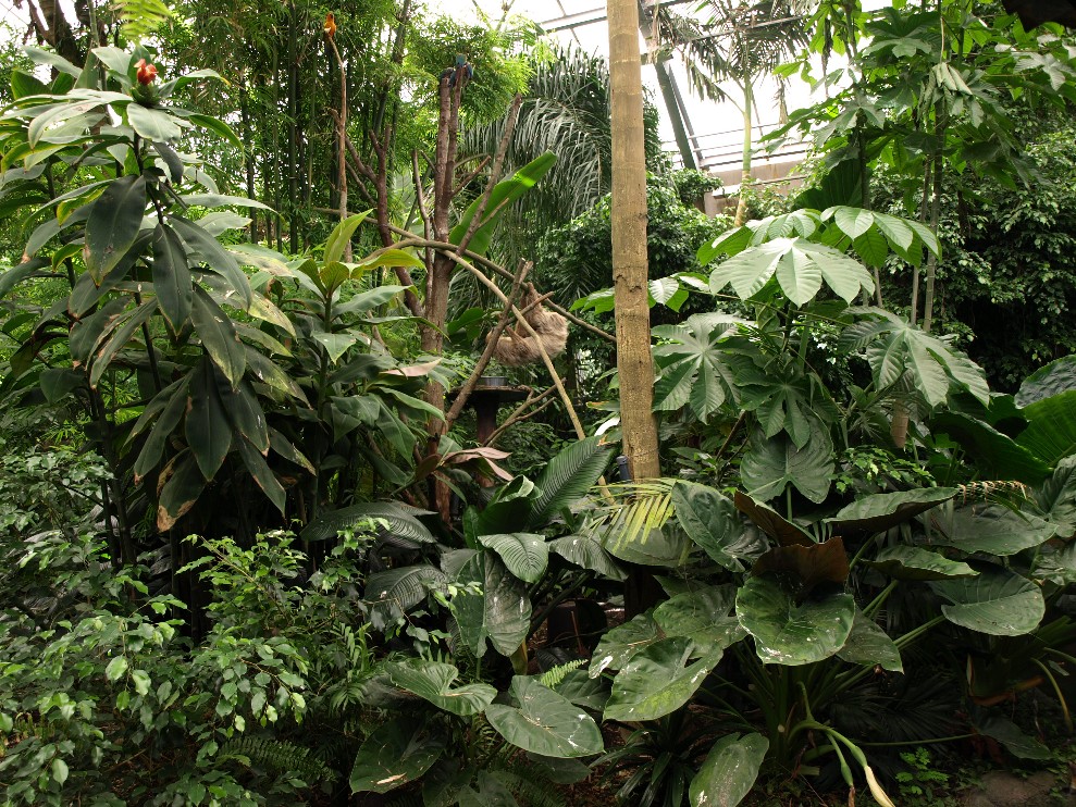 Odense Zoo - Oceanium