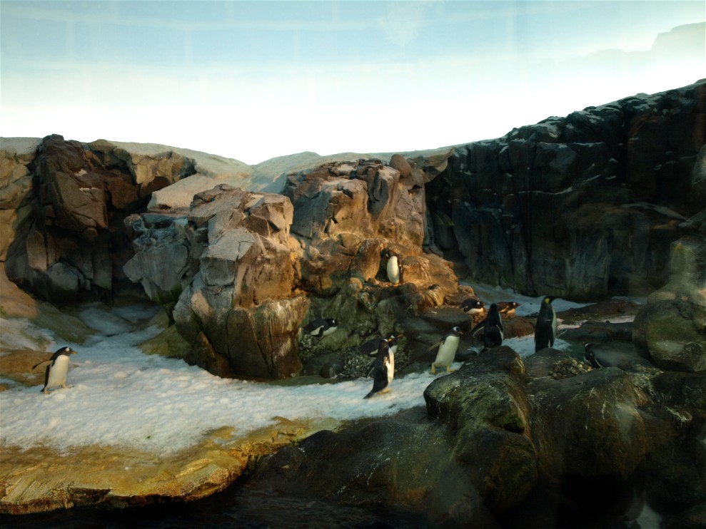 Odense Zoo - Oceanium