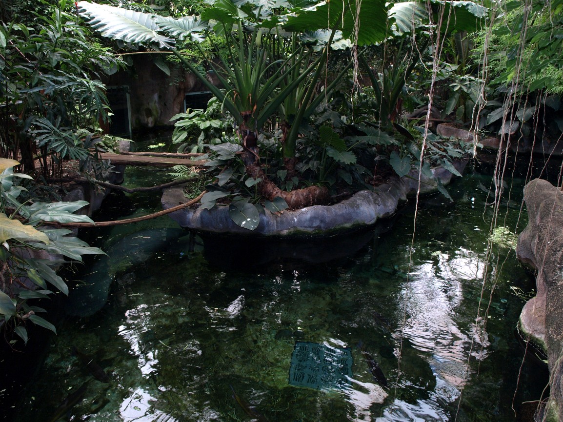 Odense Zoo - Oceanium