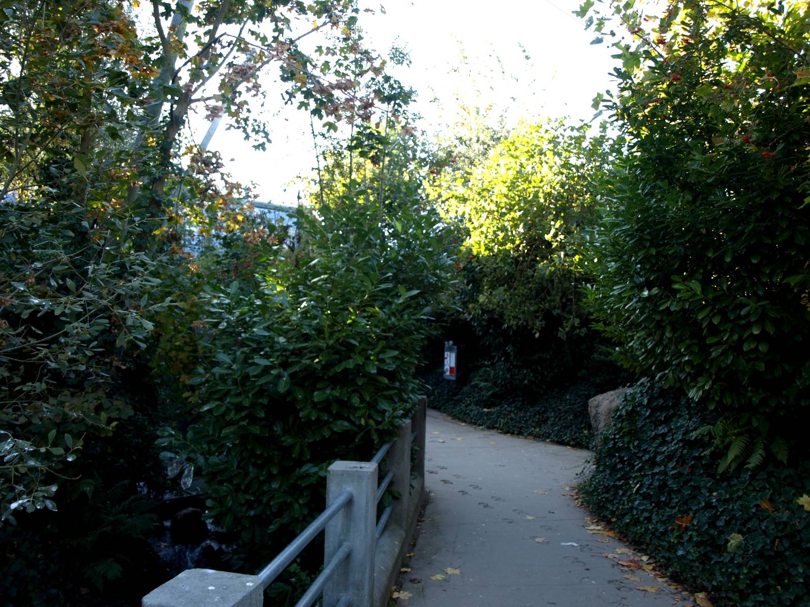 Odense Zoo - Oceanium