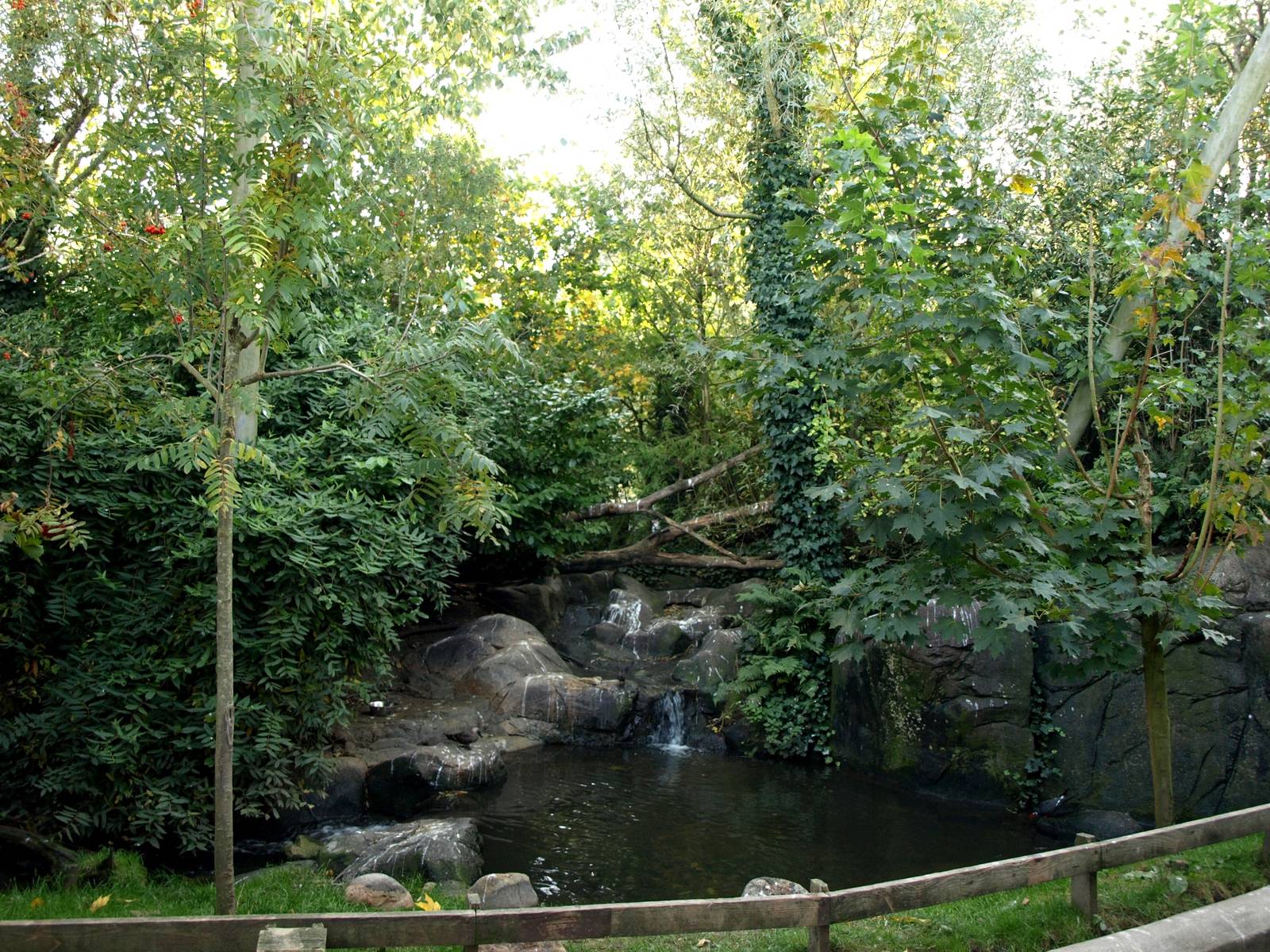 Odense Zoo - Oceanium