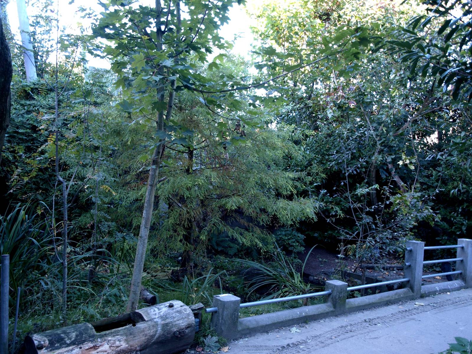 Odense Zoo - Oceanium