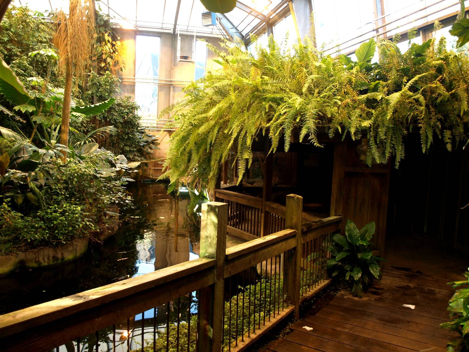 Odense Zoo - Oceanium