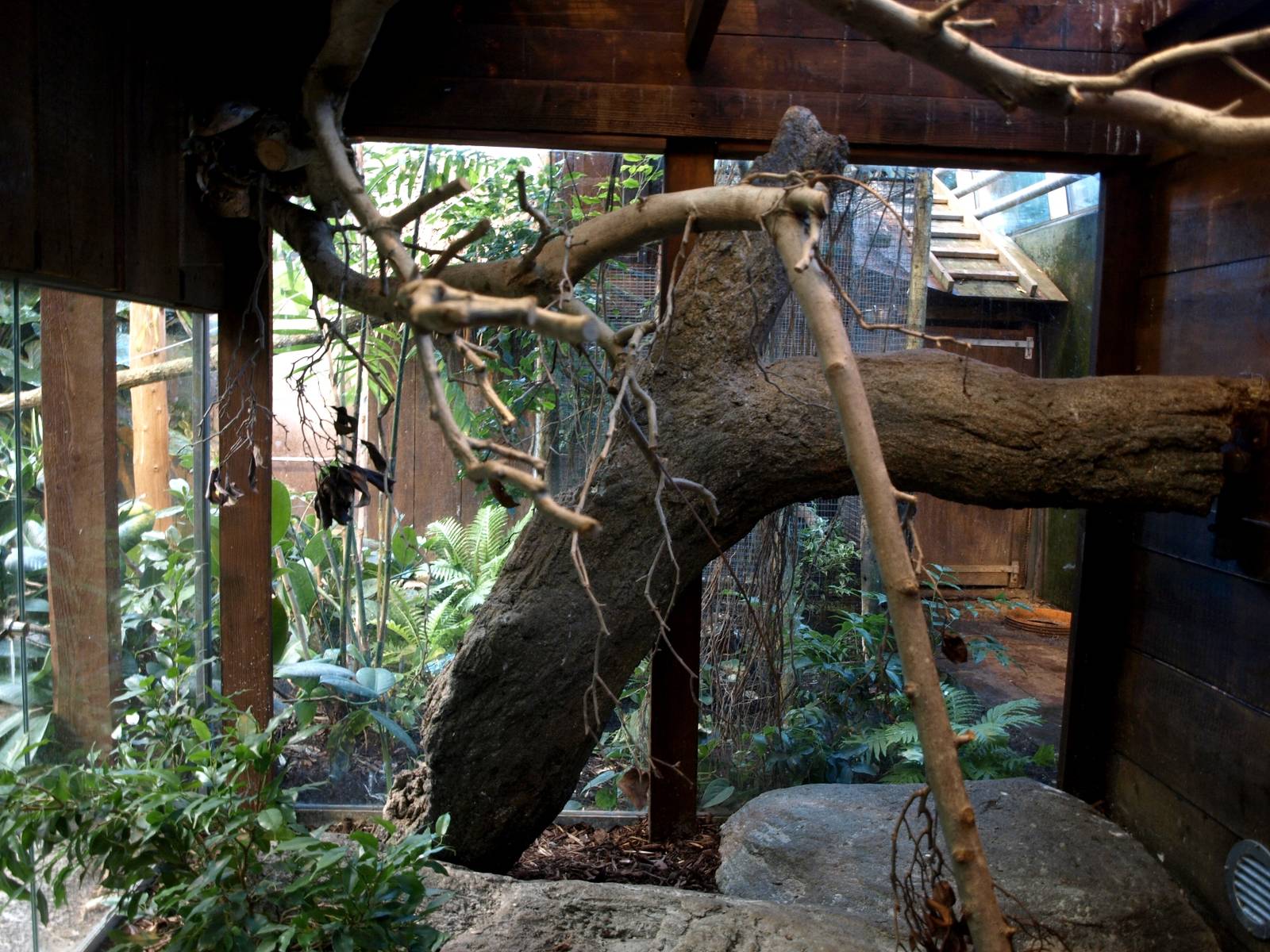 Odense Zoo - Oceanium