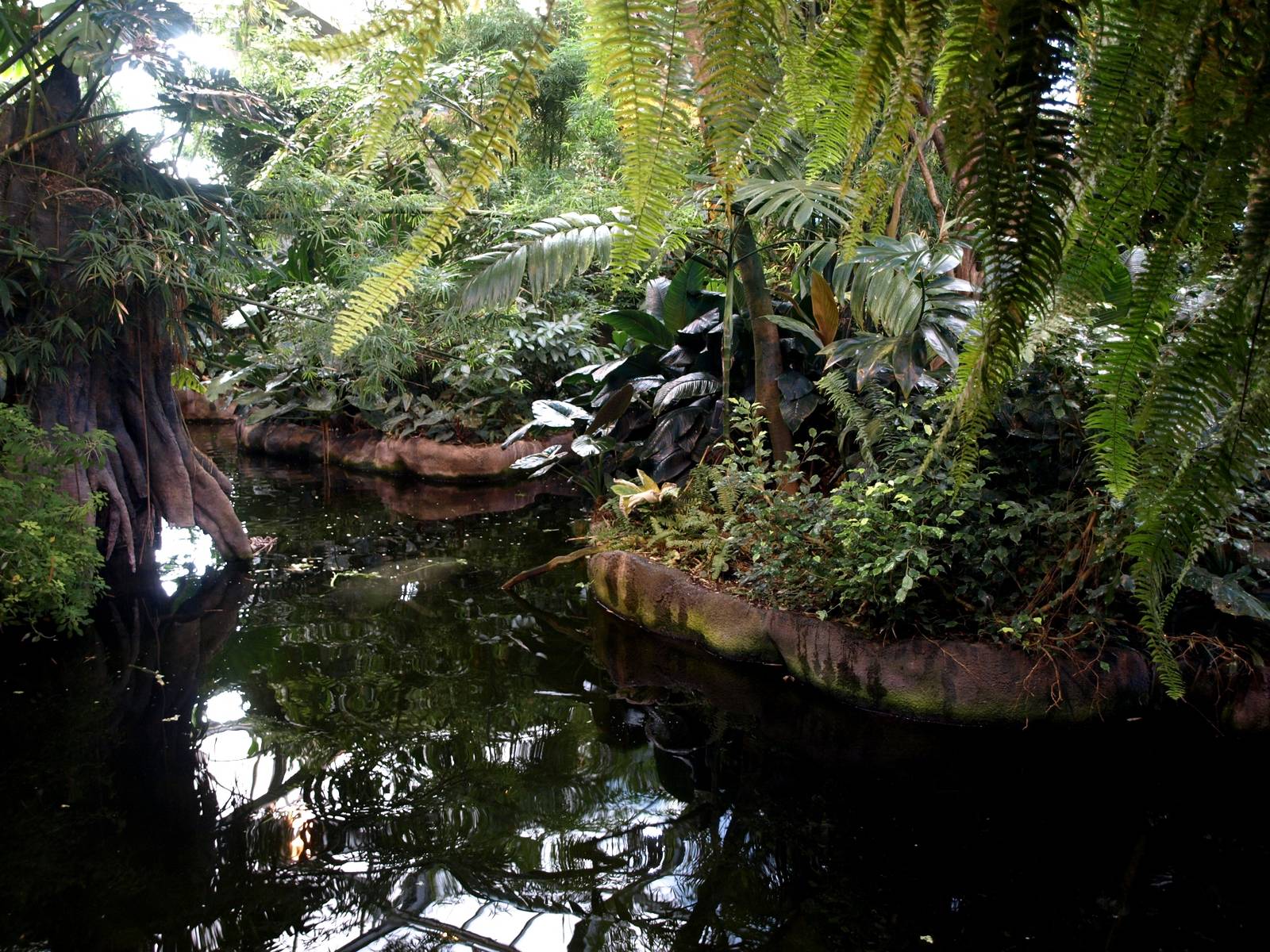 Odense Zoo - Oceanium