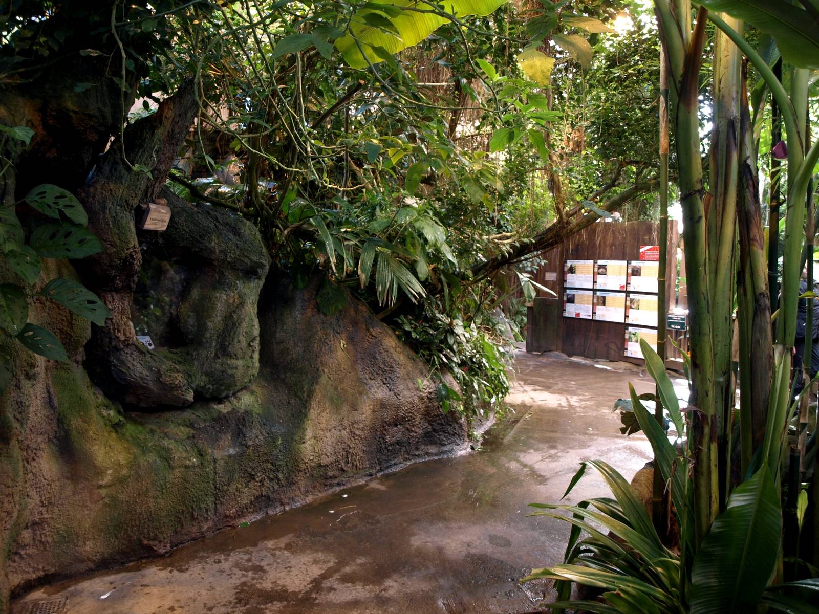 Odense Zoo - Oceanium