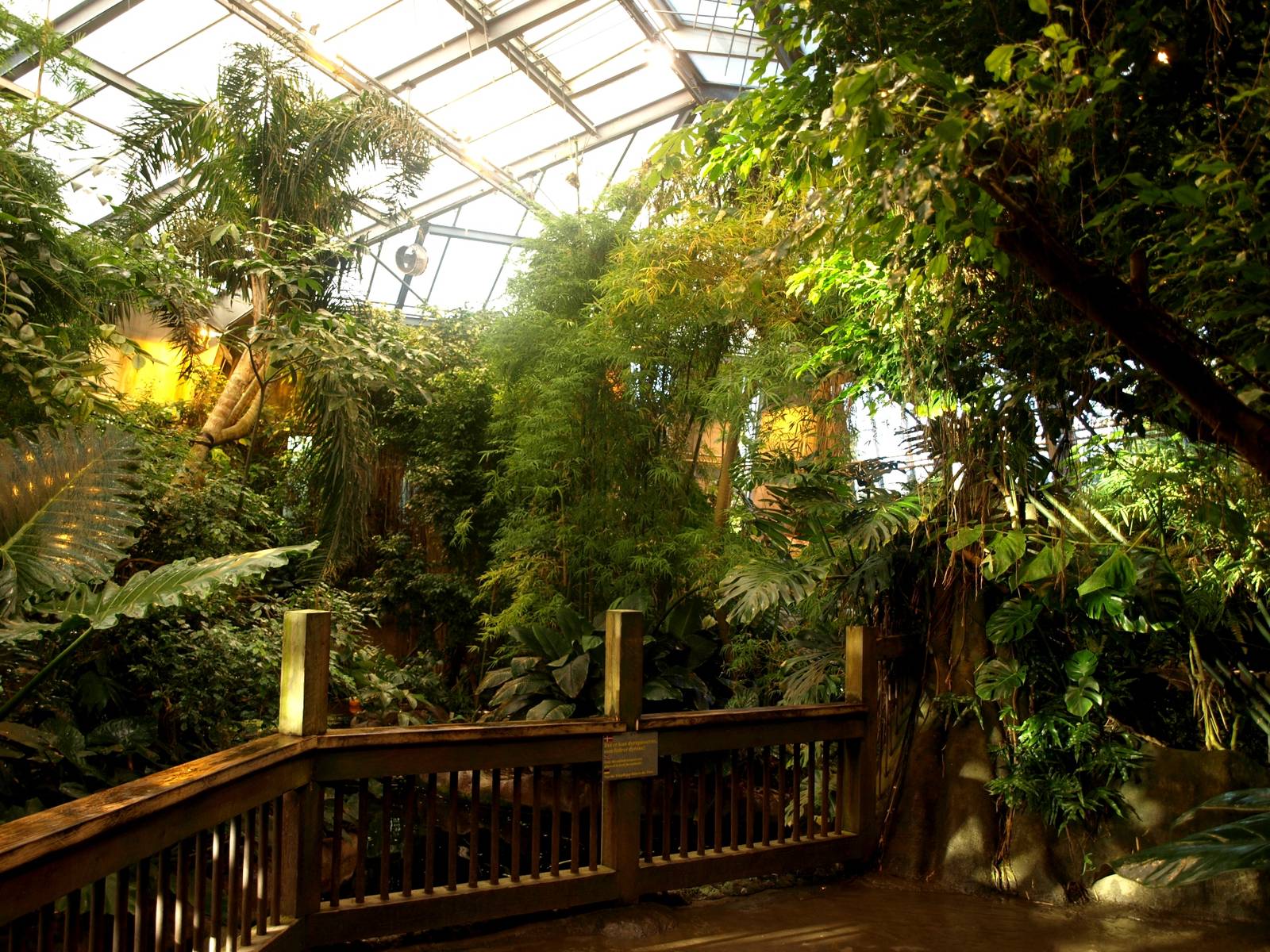 Odense Zoo - Oceanium