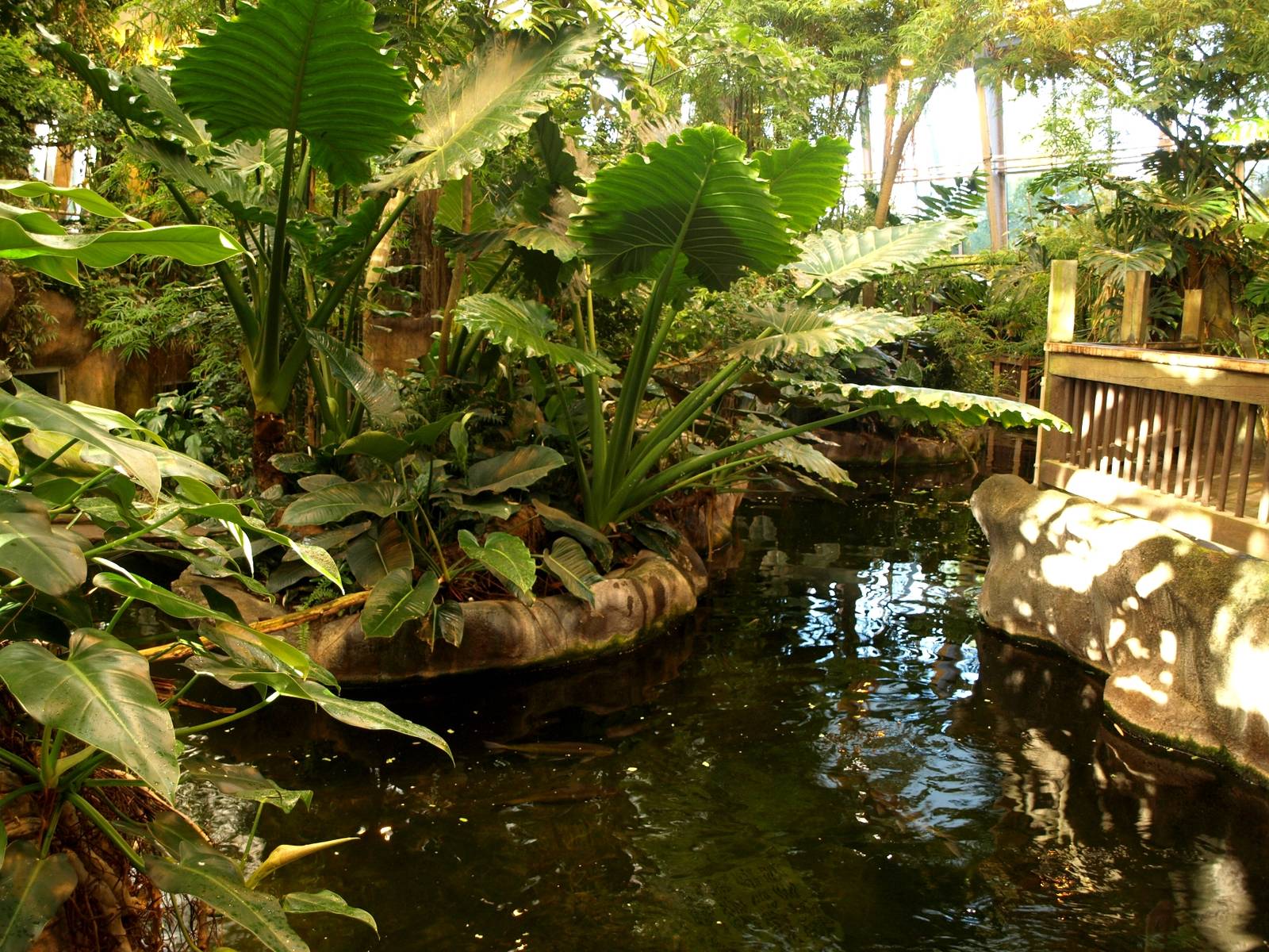 Odense Zoo - Oceanium