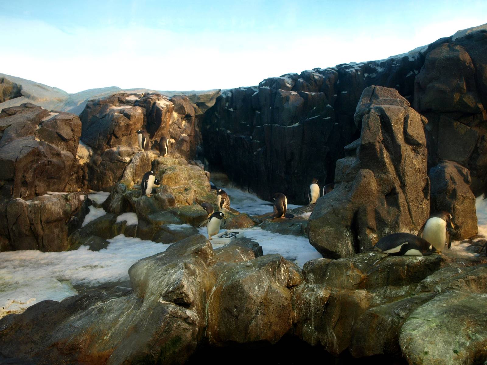 Odense Zoo - Oceanium