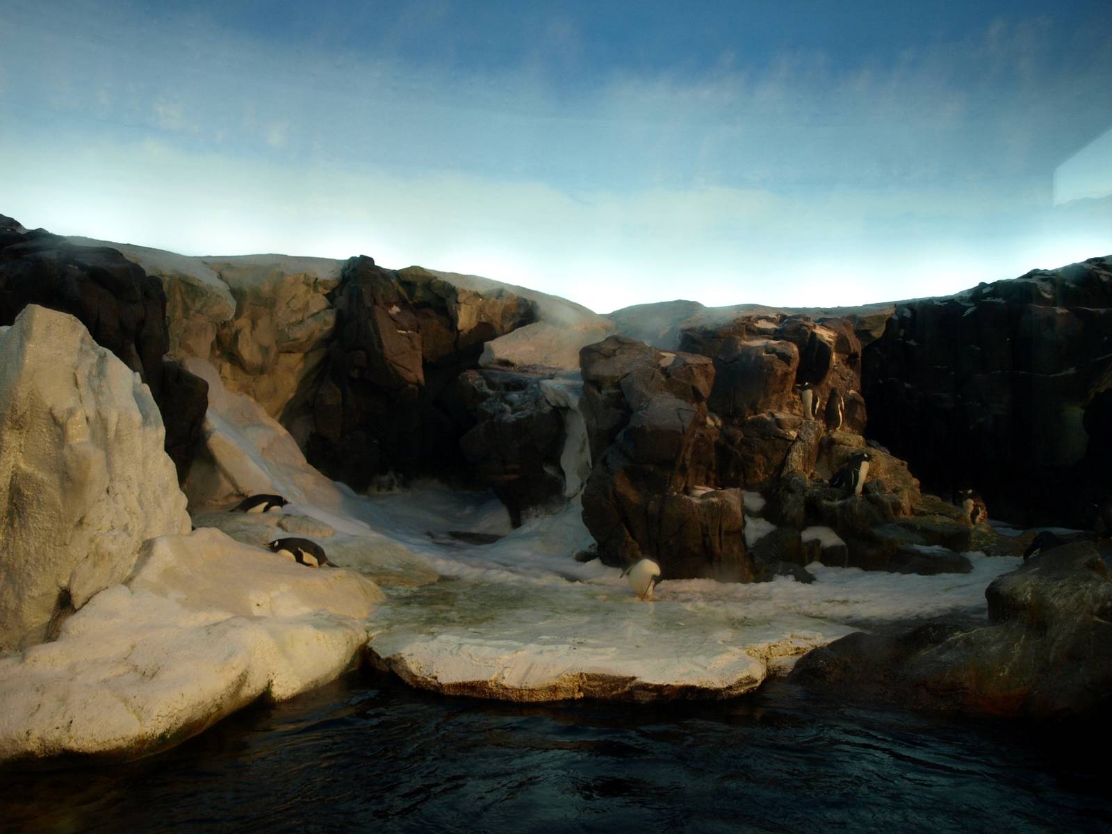 Odense Zoo - Oceanium