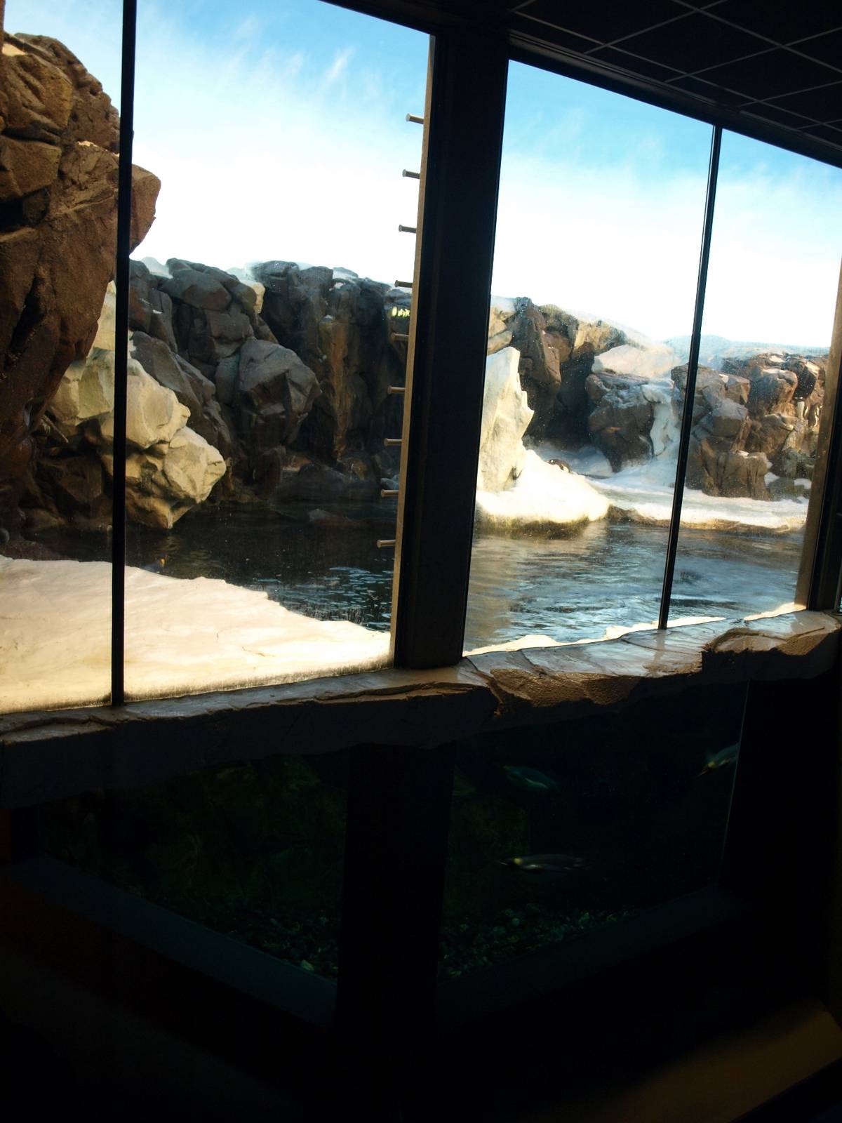 Odense Zoo - Oceanium