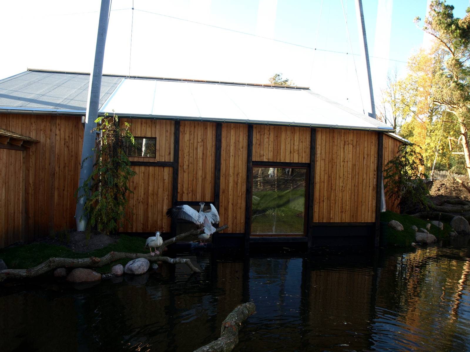 Odense Zoo - Pelican House