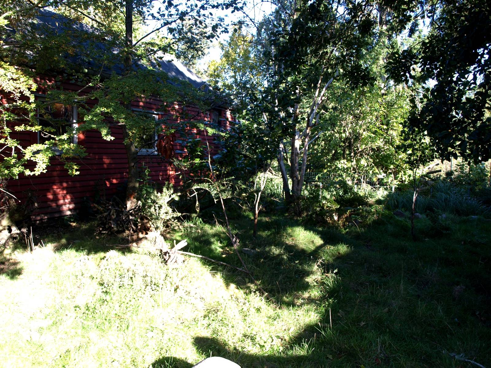 Odense Zoo - Pudu exhibit