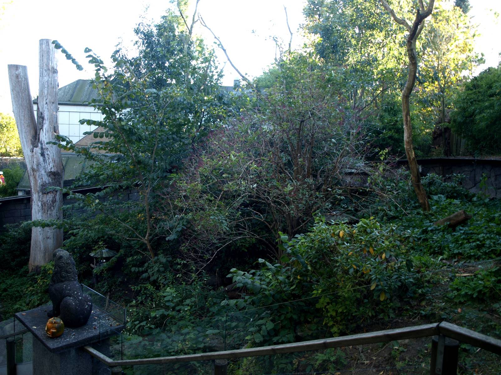 Odense Zoo - Red panda exhibit