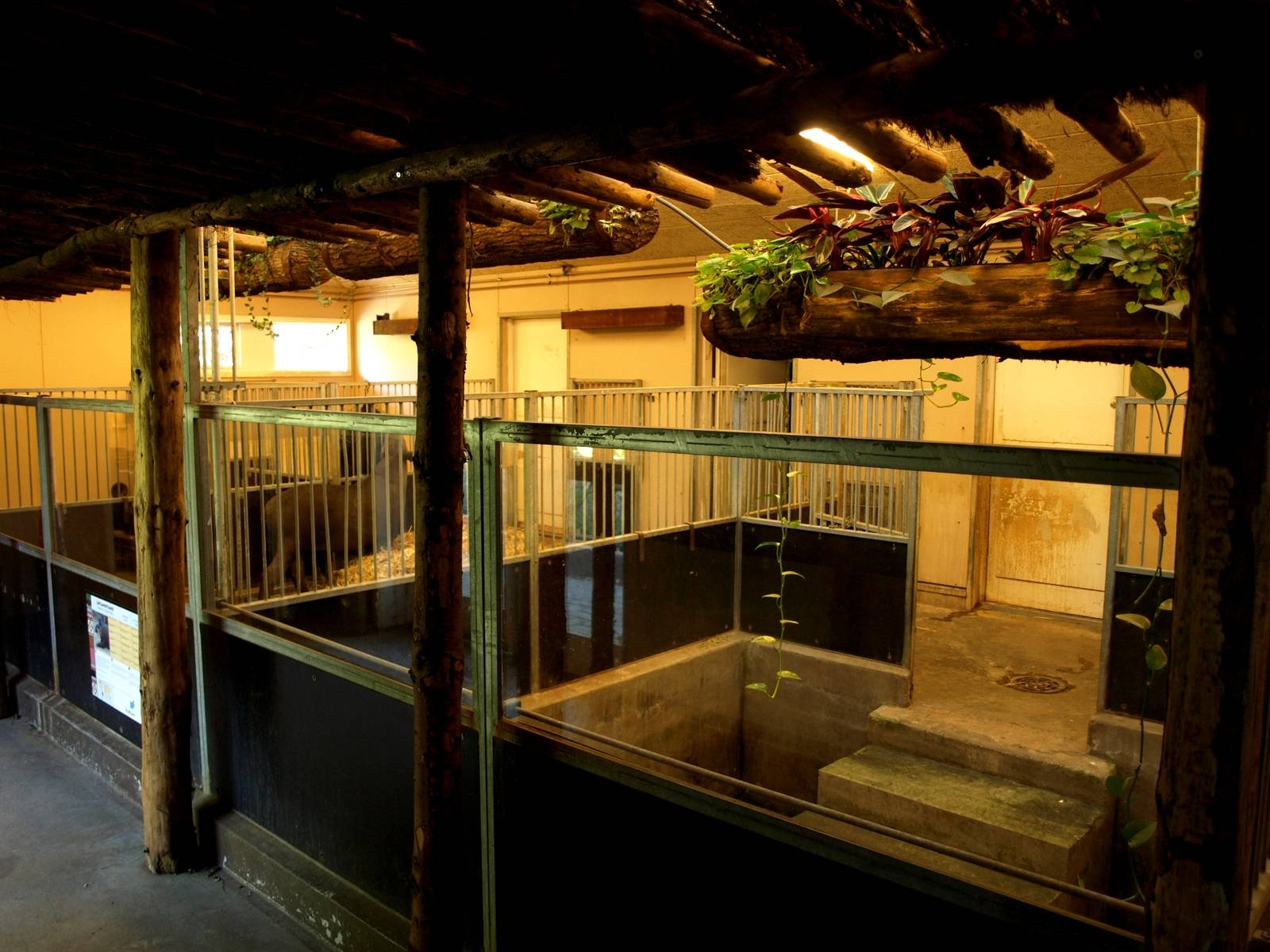 Odense Zoo - South America House