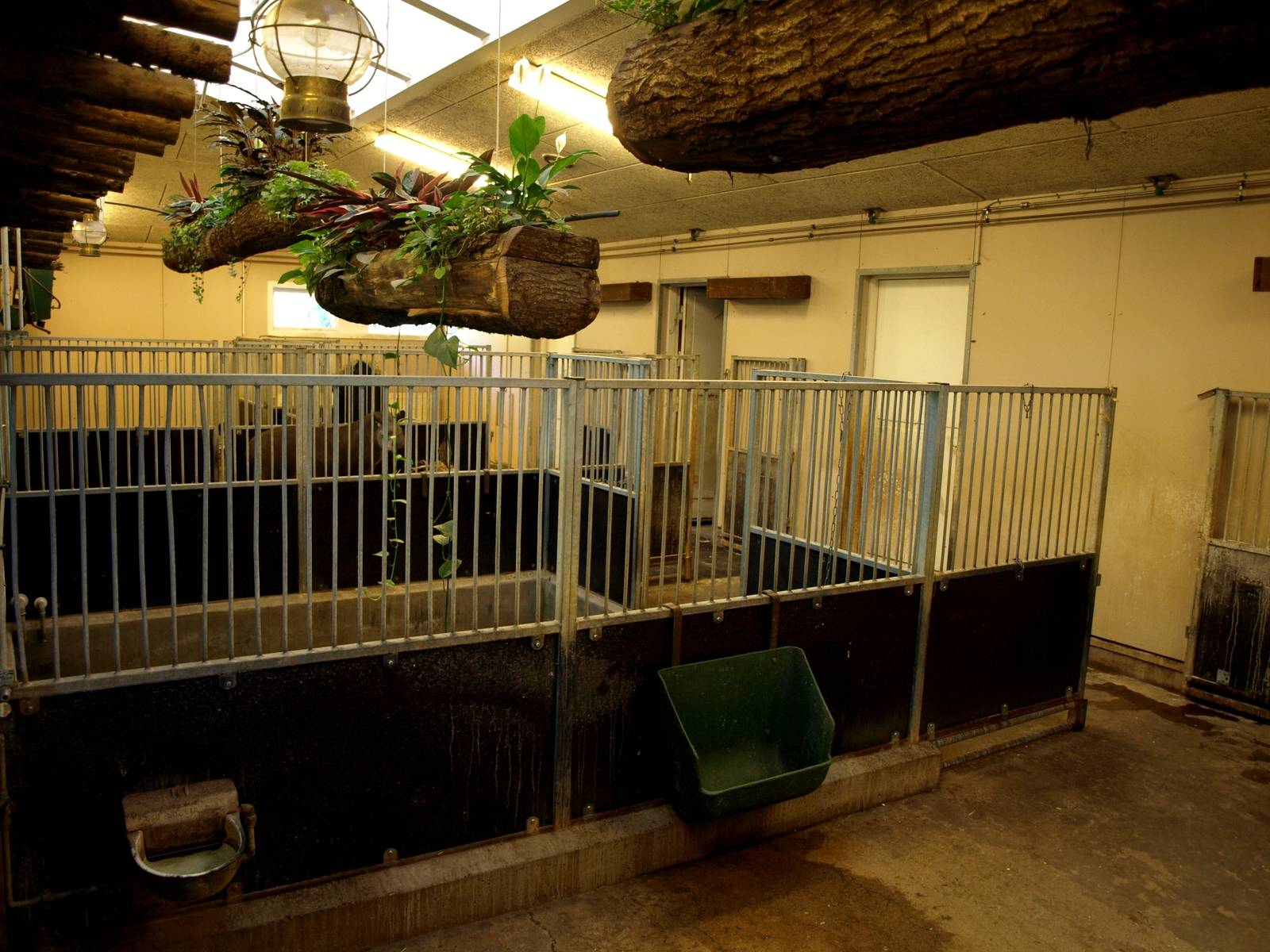 Odense Zoo - South America House