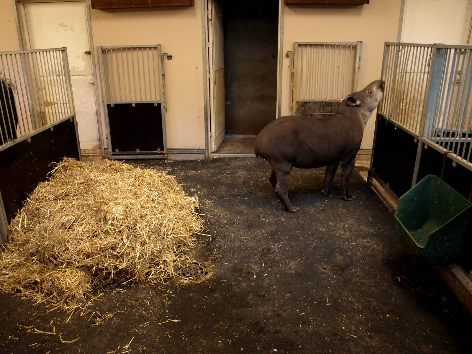 Odense Zoo - South America House