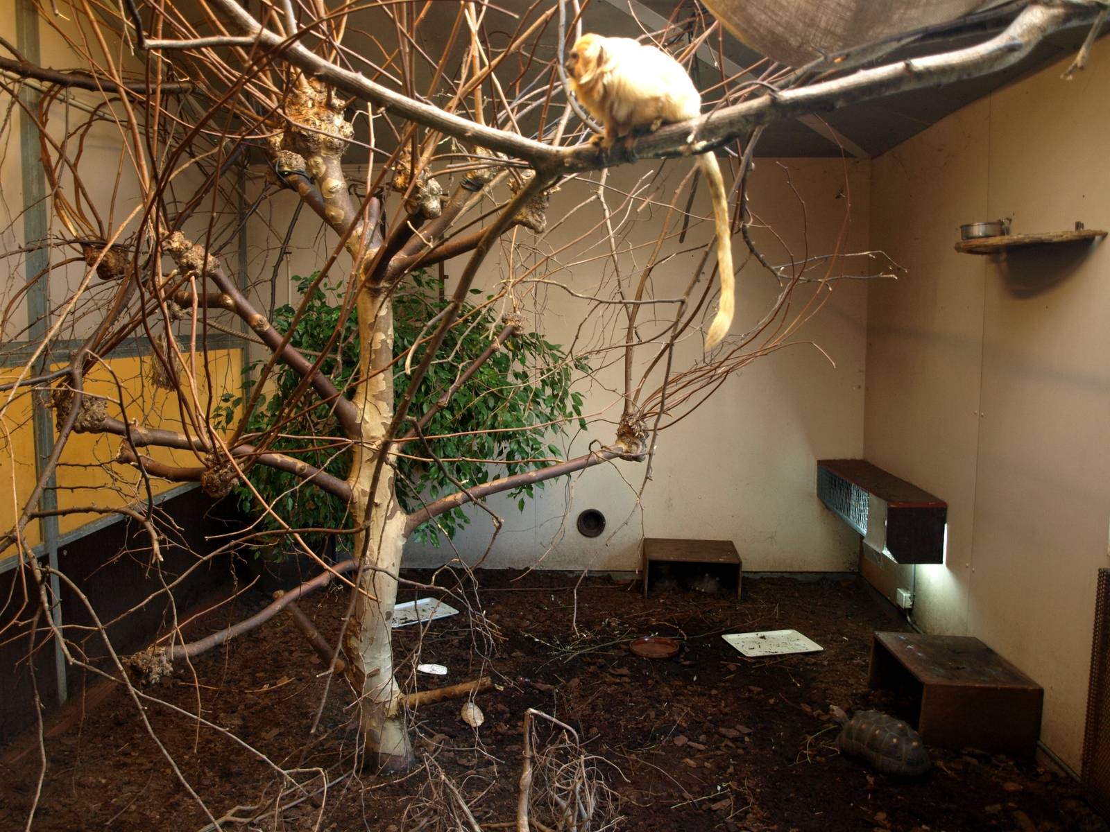 Odense Zoo - South America House