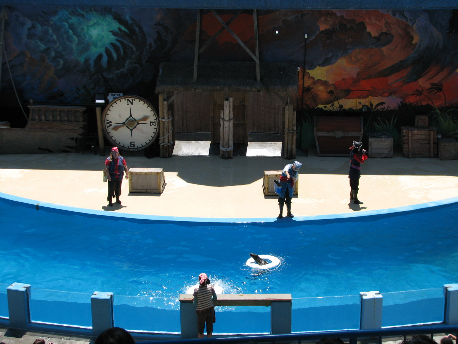 Odies Sea Lion Stadium - Show Pool