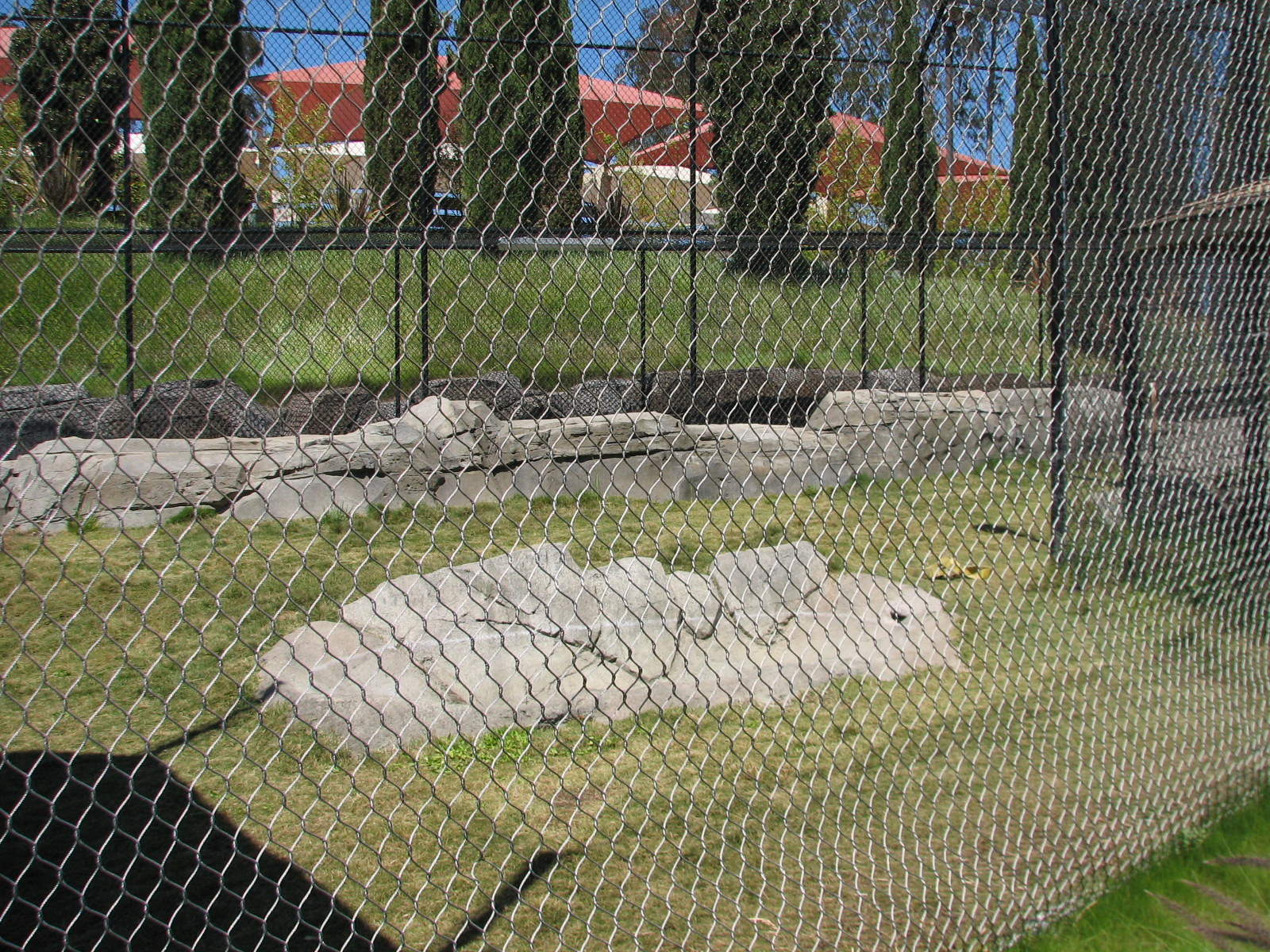 Odins Temple of the Tiger - Second Exhibit