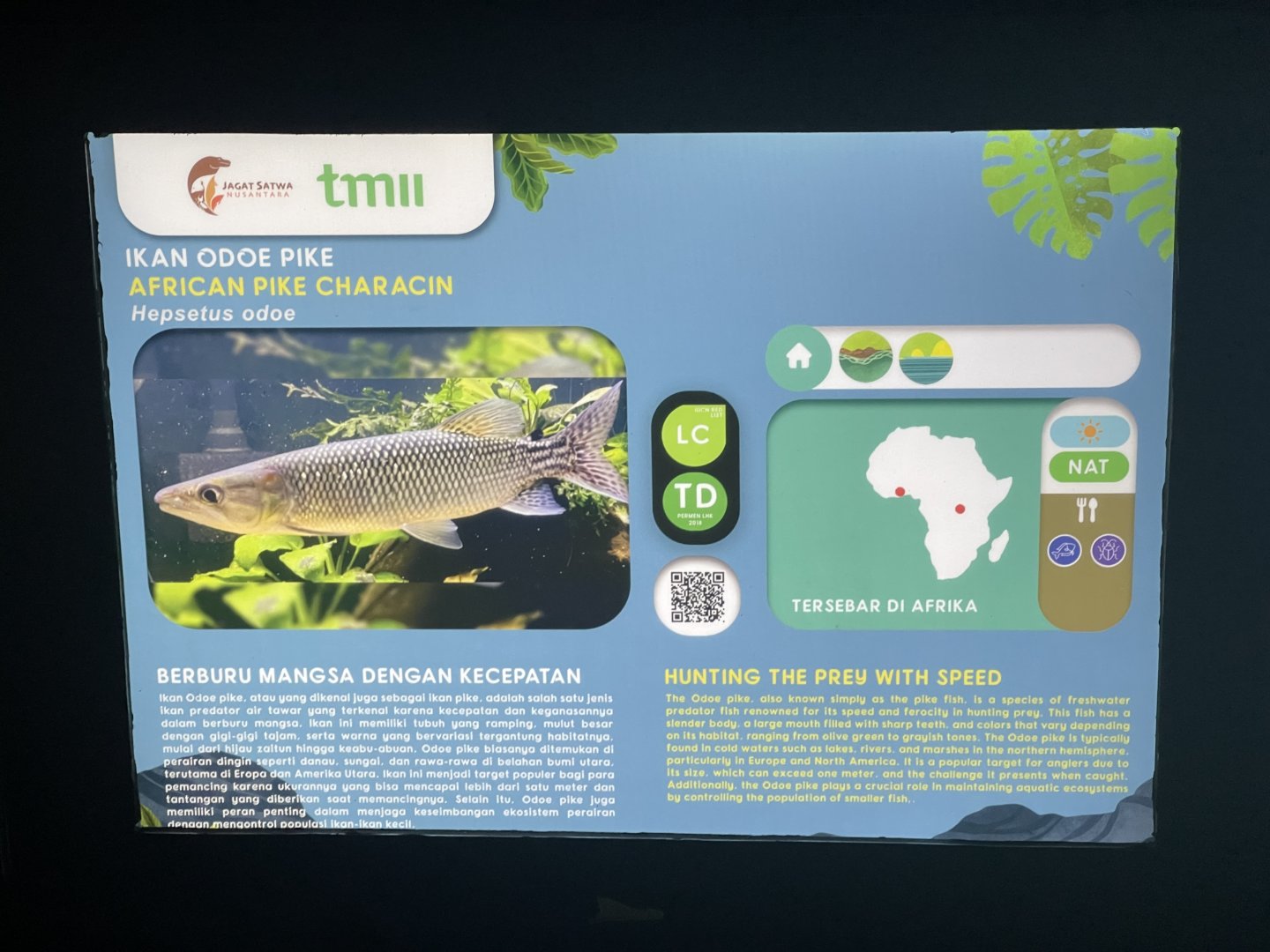 odoe pike signage (1) - dunia air tawar