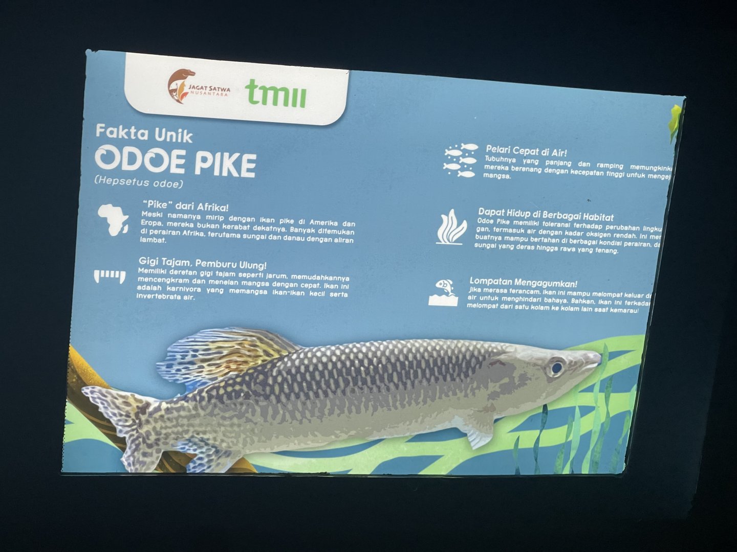 odoe pike signage (2) - dunia air tawar