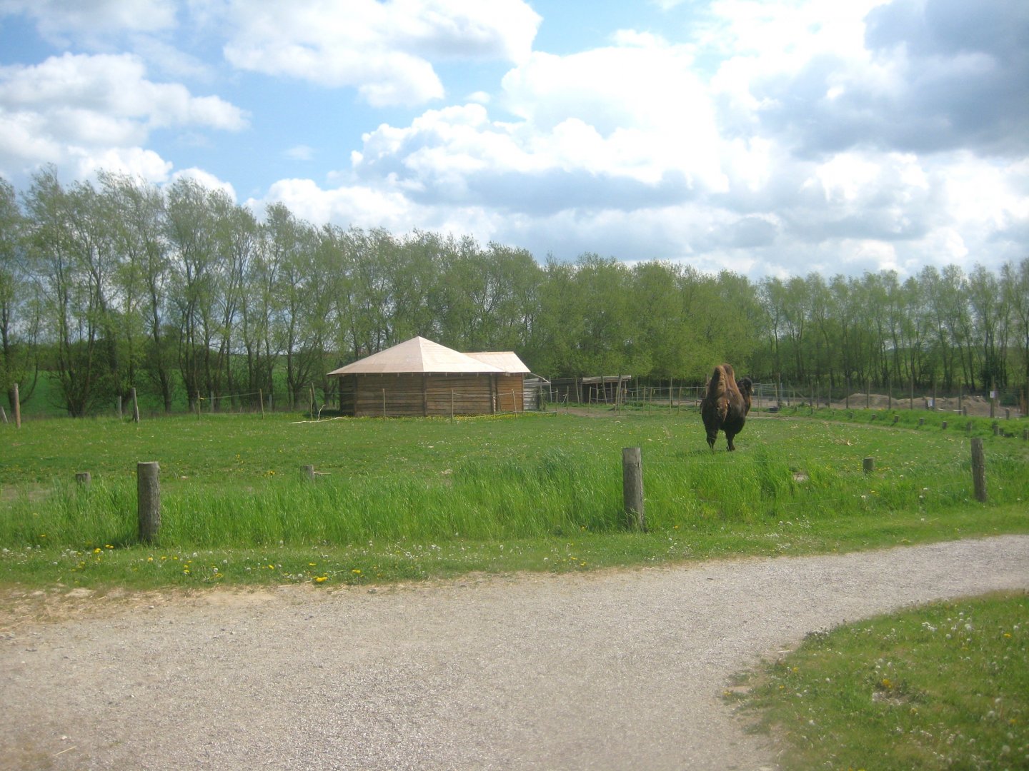 Odsherred Zoo - Camel exhibit
