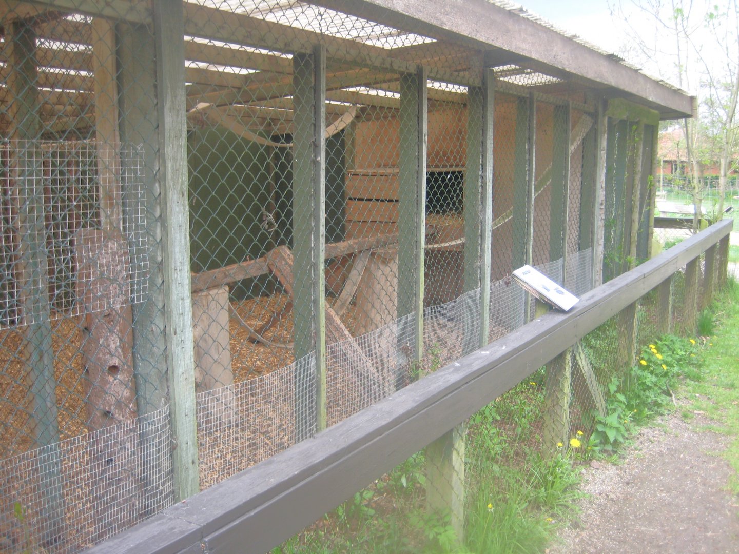 Odsherred Zoo - Coati exhibit