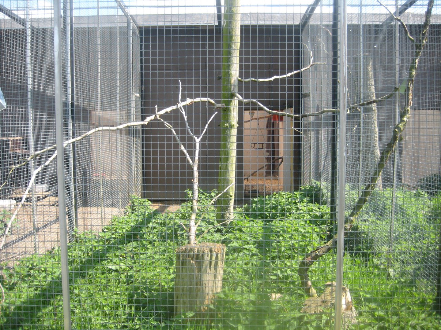 Odsherred Zoo - Conure aviary