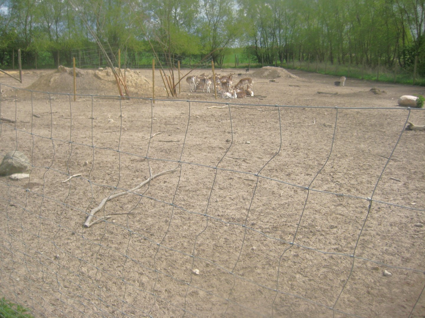 Odsherred Zoo - Deer exhibit