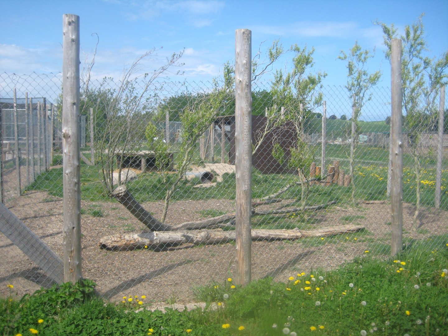 Odsherred Zoo - Fox exhibit