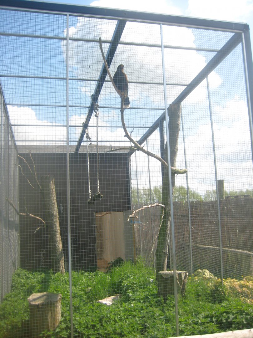 Odsherred Zoo - Hawk aviary