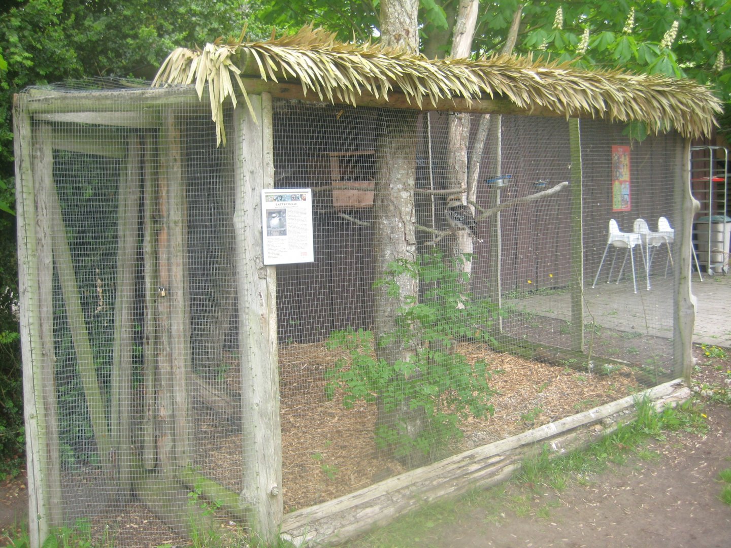 Odsherred Zoo - Kookaburra aviary