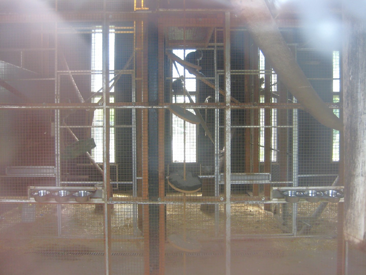 Odsherred Zoo - Macaque exhibit (indoors)