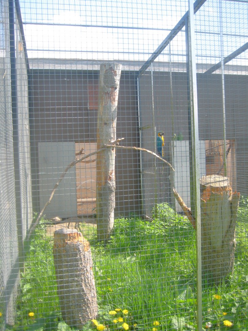 Odsherred Zoo - Macaw aviary #2