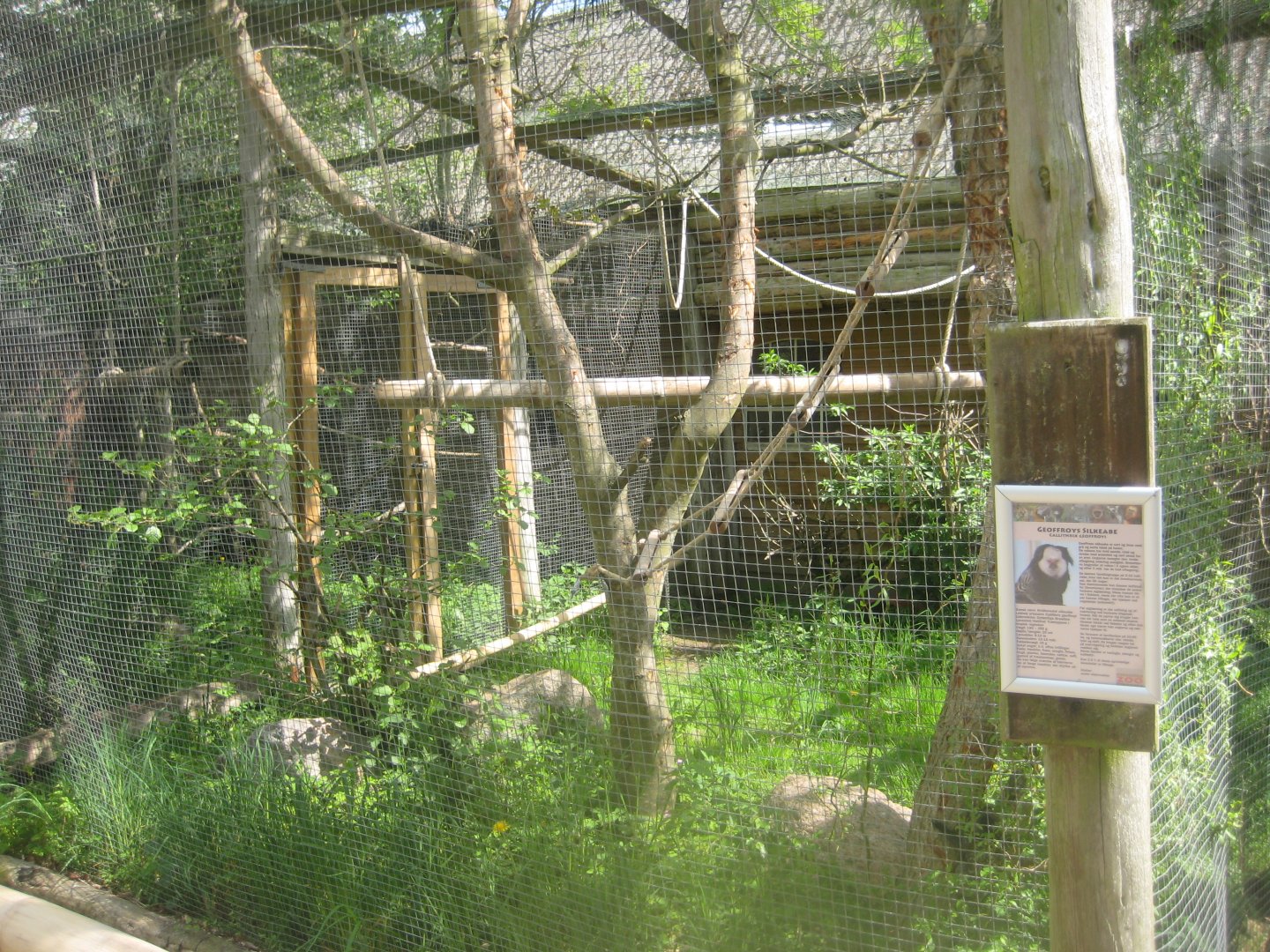 Odsherred Zoo - Marmoset exhibit