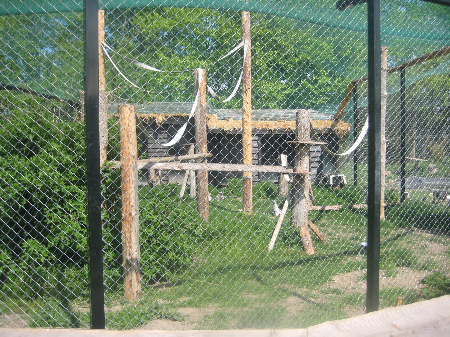 Odsherred Zoo - Mixed lemur exhibit