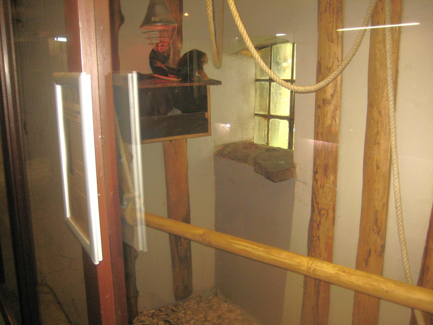 Odsherred Zoo - Monkey/reptile house - Example of monkey indoor exhibit