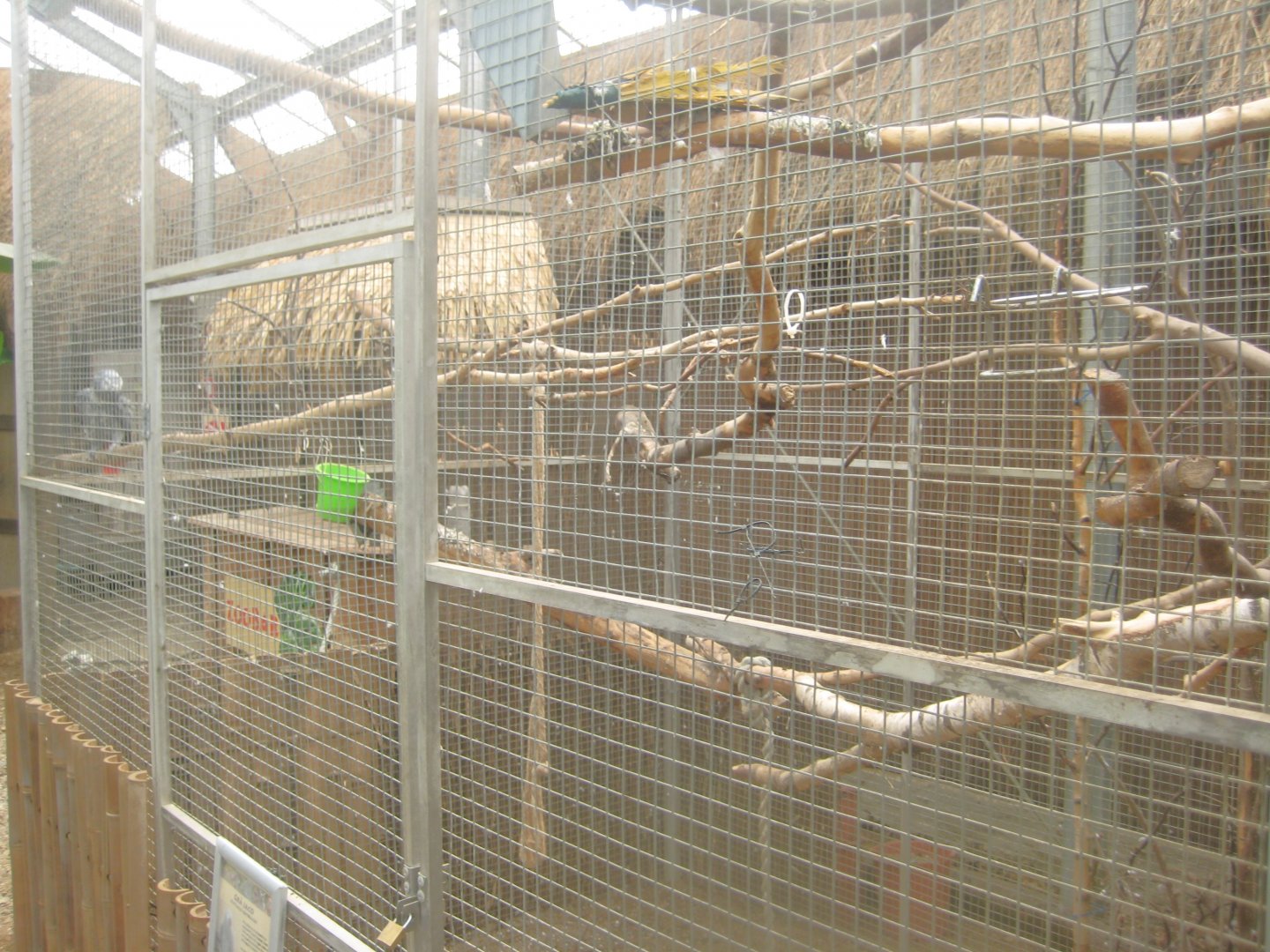 Odsherred Zoo - Paraná - Parrot aviary