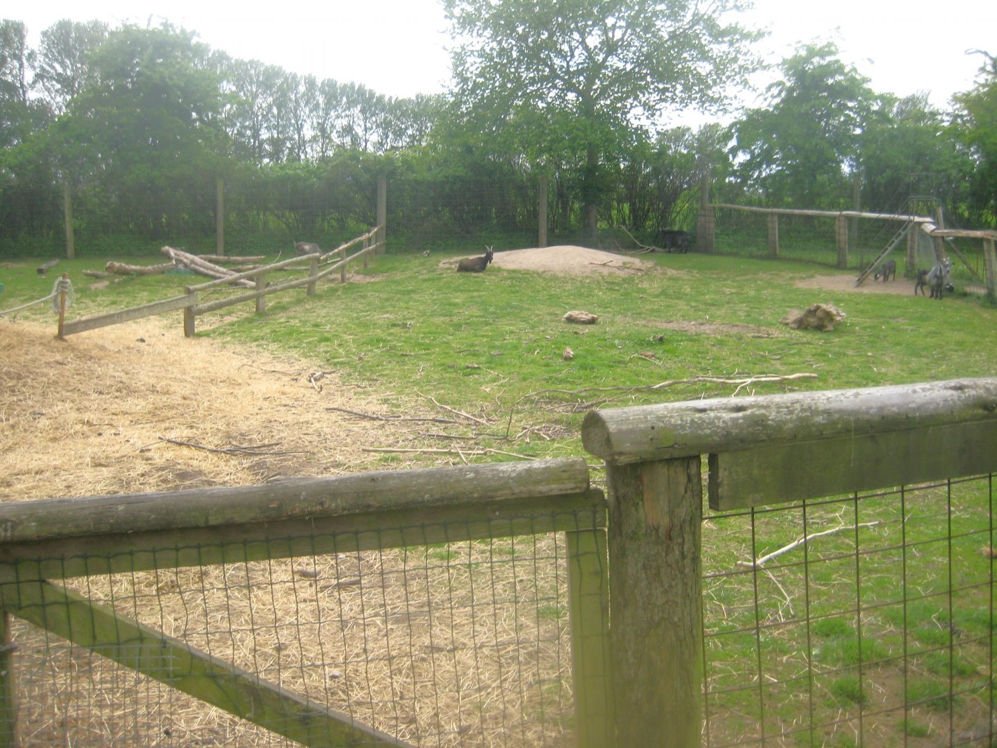 Odsherred Zoo - Petting exhibit