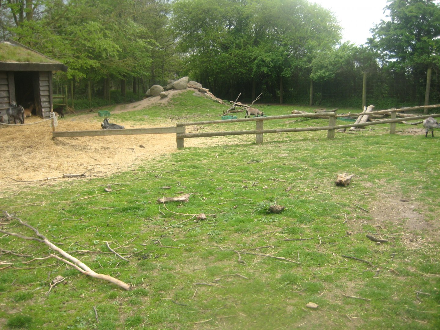 Odsherred Zoo - Petting exhibit