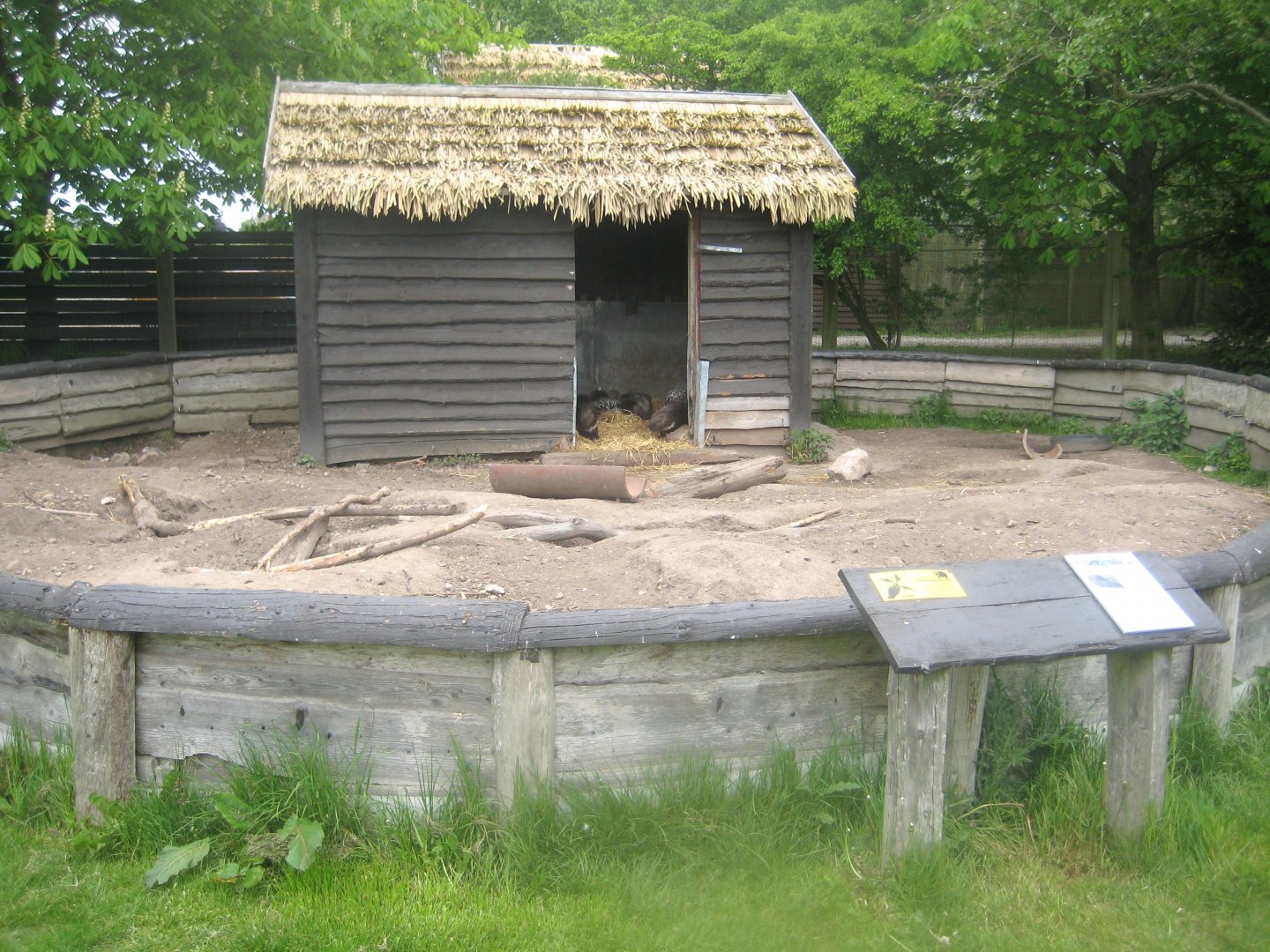 Odsherred Zoo - Porcupine exhibit