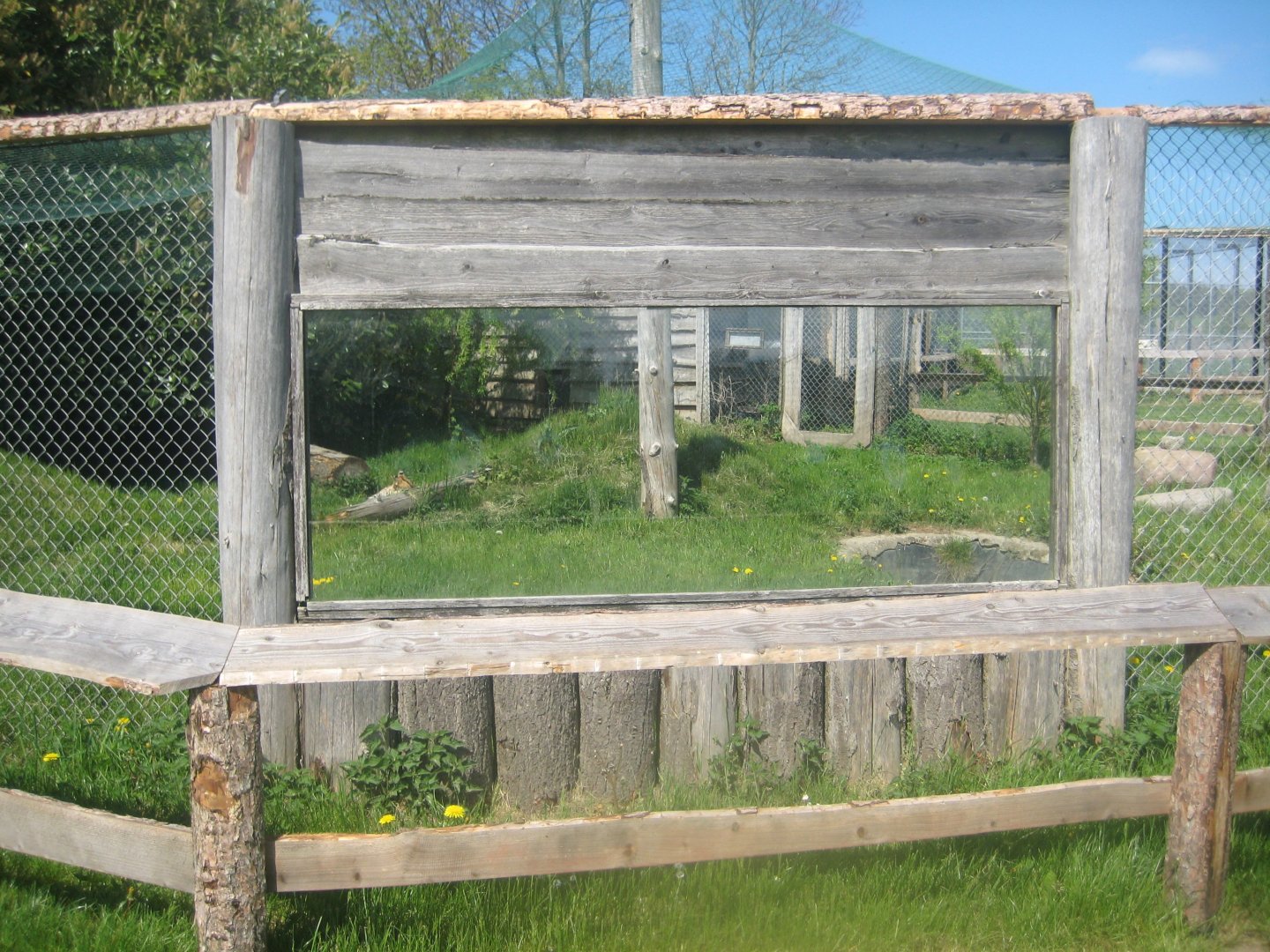 Odsherred Zoo - Serval exhibit