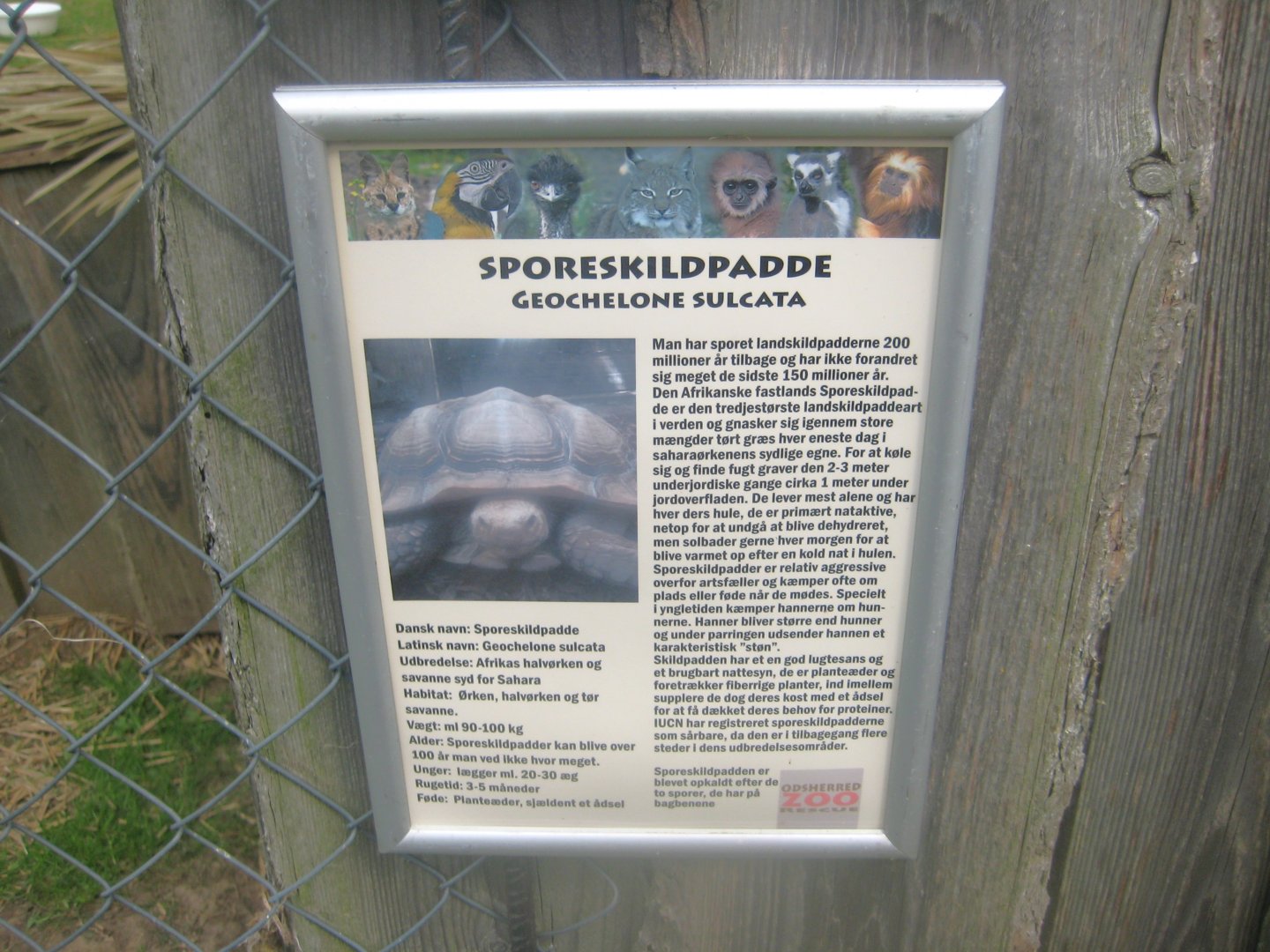 Odsherred Zoo - Signage example