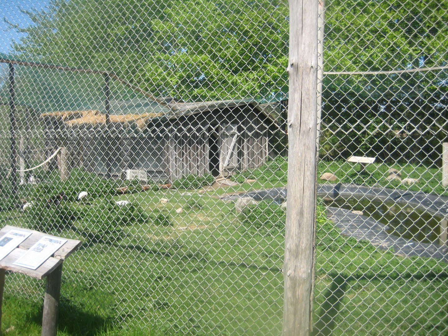 Odsherred Zoo - Swan/ibis aviary