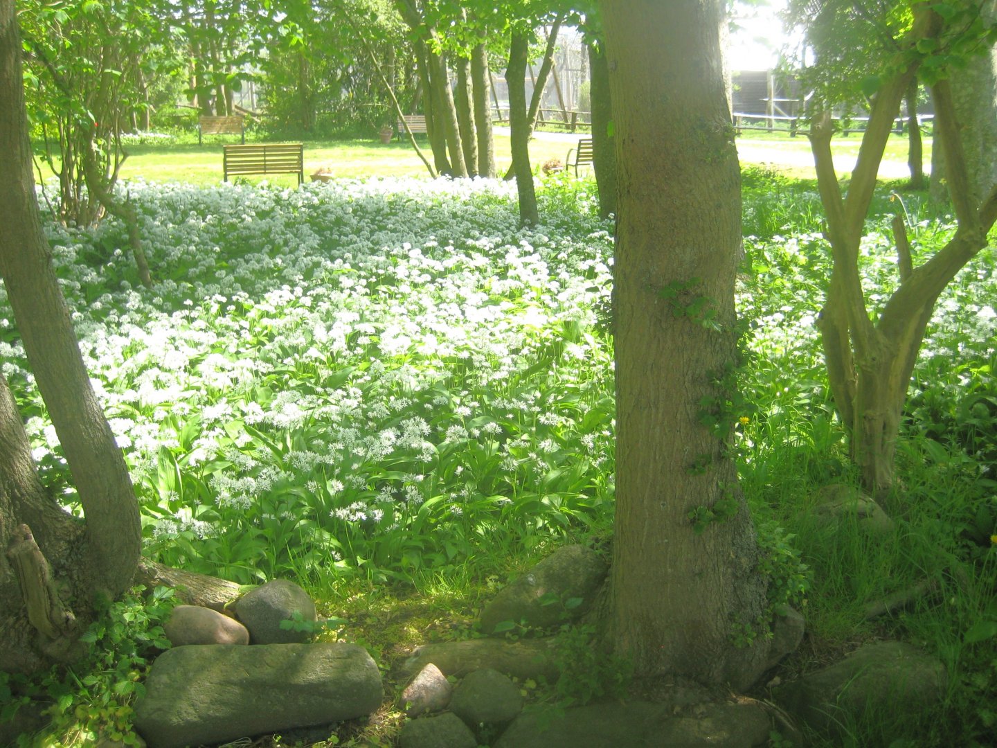 Odsherred Zoo - "The little garden"